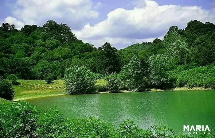 5 دلیل برای خرید آپارتمان در ایزدشهر