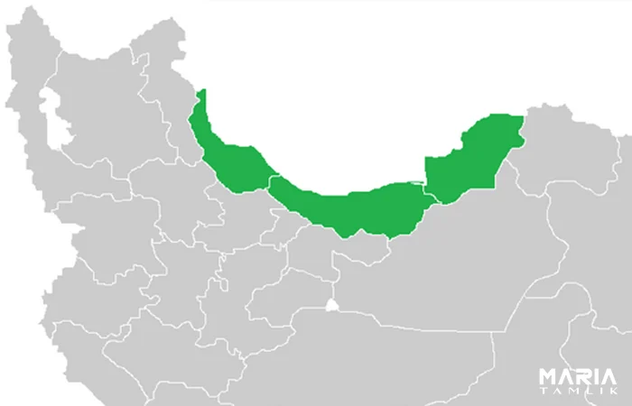 آزادراه تهران شمال | تحلیل بازار و قیمت ملک در شمال: از تب زمین تا سرمایهگذاری در برجهای مدرن
